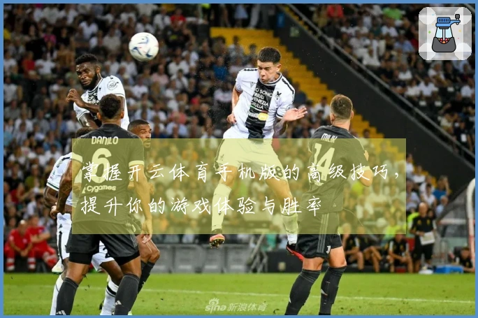 掌握开云体育手机版的高级技巧，提升你的游戏体验与胜率