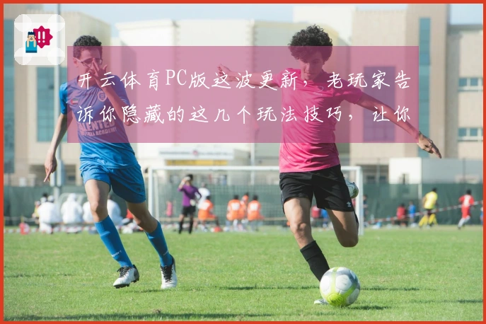 开云体育PC版这波更新，老玩家告诉你隐藏的这几个玩法技巧，让你效率翻倍！